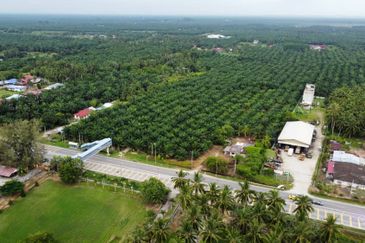 Tanah 8.8ekar Freehold Assam Jawa tepi jalan Kapar , Kuala Selangor