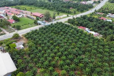 Tanah 8.8ekar Freehold Assam Jawa tepi jalan Kapar , Kuala Selangor