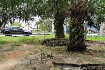 Tanah 8.8ekar Freehold Assam Jawa tepi jalan Kapar , Kuala Selangor