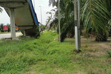 Tanah 8.8ekar Freehold Assam Jawa tepi jalan Kapar , Kuala Selangor