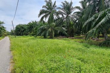 Tanah cantik 1 ekar Non Bumi Bandar Kuala Selangor