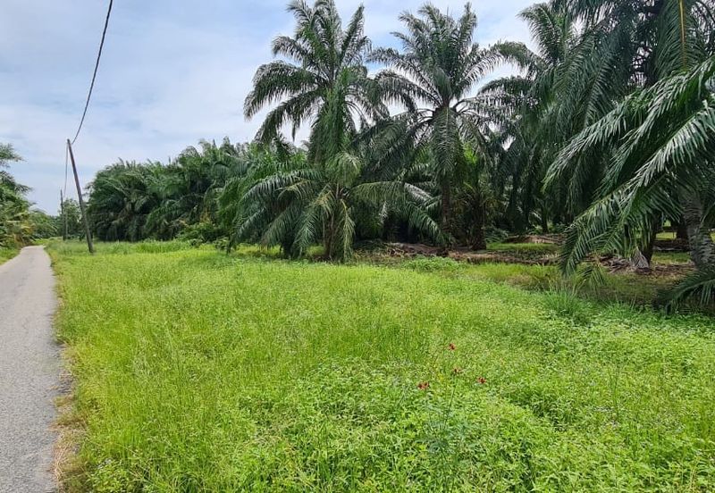 Tanah cantik 1 ekar Non Bumi Bandar Kuala Selangor