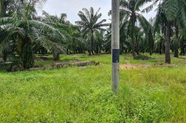 Tanah cantik 1 ekar Non Bumi Bandar Kuala Selangor