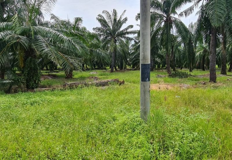 Tanah cantik 1 ekar Non Bumi Bandar Kuala Selangor
