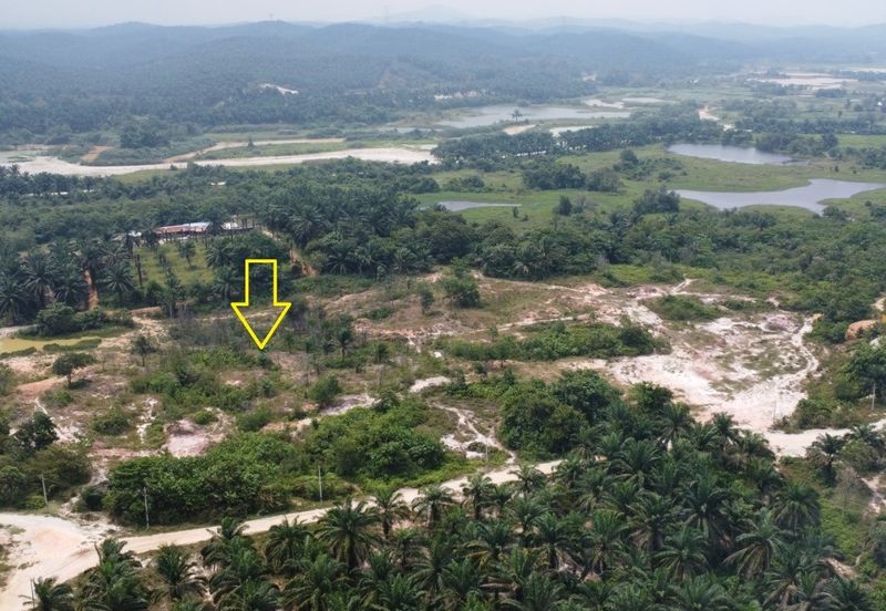 Tanah berpotensi 1.7 ekar Selangor Fruit Valley , Bistari Jaya