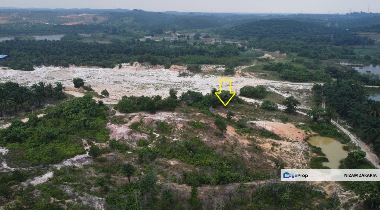 Tanah berpotensi 1.7 ekar Selangor Fruit Valley , Bistari Jaya, Selangor, Batang Berjuntai