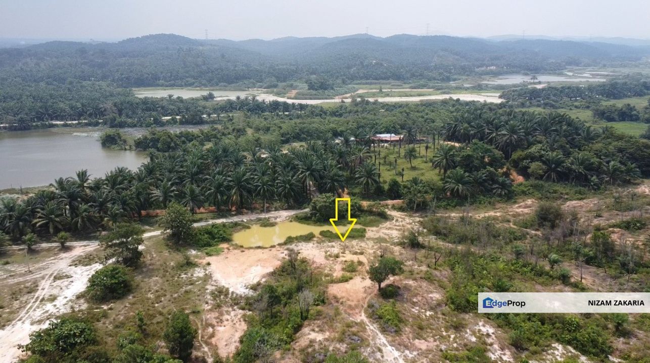 Tanah berpotensi 1.7 ekar Selangor Fruit Valley , Bistari Jaya, Selangor, Batang Berjuntai