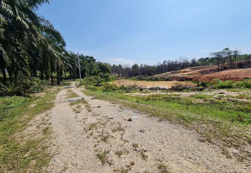 Tanah berpotensi 1.7 ekar Selangor Fruit Valley , Bistari Jaya
