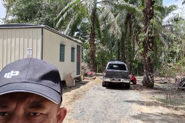 Tanah sawit Freehold 74 acre Non Bumi Dungun Trengganu