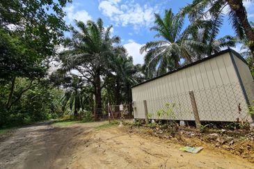 Tanah sawit Freehold 74 acre Non Bumi Dungun Trengganu