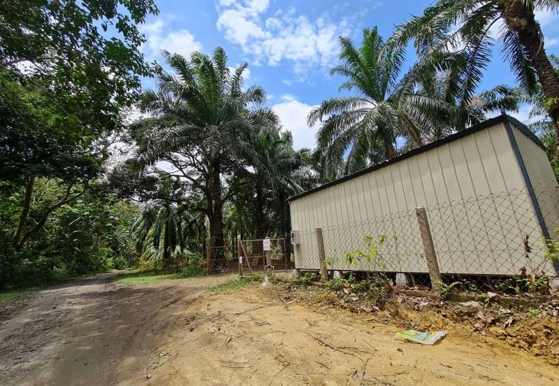 Tanah sawit Freehold 74 acre Non Bumi Dungun Trengganu