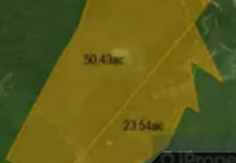 Tanah sawit Freehold 74 acre Non Bumi Dungun Trengganu