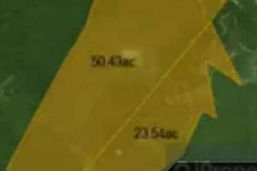 Tanah sawit Freehold 74 acre Non Bumi Dungun Trengganu