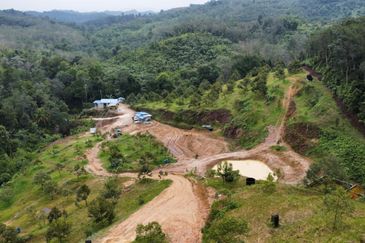 Kebun Durian Tupai King,Musang King & Duri Hitam Dan Kampong Premium di Sungai Senama Hulu Rening