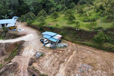 Kebun Durian Tupai King,Musang King & Duri Hitam Dan Kampong Premium di Sungai Senama Hulu Rening
