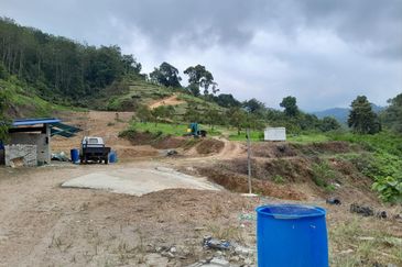 Kebun Durian Tupai King,Musang King & Duri Hitam Dan Kampong Premium di Sungai Senama Hulu Rening