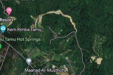 Kebun Durian Tupai King,Musang King & Duri Hitam Dan Kampong Premium di Sungai Senama Hulu Rening