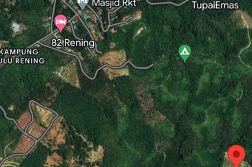 Kebun Durian Tupai King,Musang King & Duri Hitam Dan Kampong Premium di Sungai Senama Hulu Rening