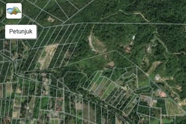 Kebun Durian Tupai King,Musang King & Duri Hitam Dan Kampong Premium di Sungai Senama Hulu Rening