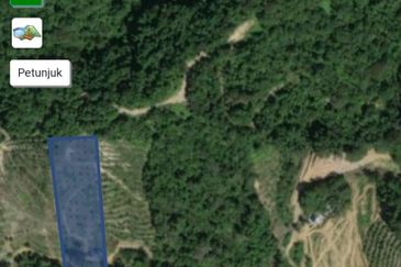 Kebun Durian Musang KING & Duri Hitam 2.35ekar Sg Kiul, Kg Hulu Rening , Batang Kali 