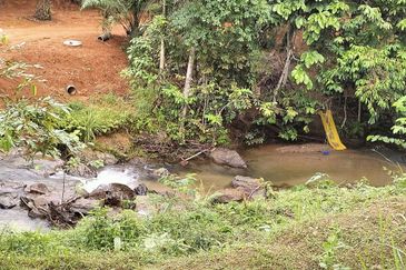 Kebun Durian Musang KING & Duri Hitam 2.35ekar Sg Kiul, Kg Hulu Rening , Batang Kali 