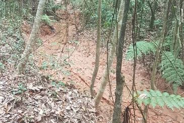 Tanah Zon Perumahan seluas hampir 6 ekar di Sg Merab sebelah Putrajaya. Terletak di tepi jalan dan sesuai untuk projek perumahan dan sebagainya. 