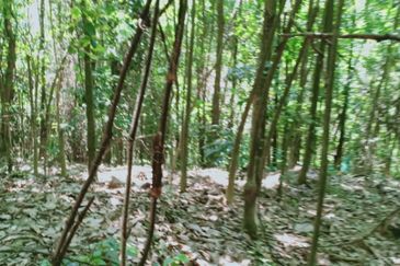 Tanah Zon Perumahan seluas hampir 6 ekar di Sg Merab sebelah Putrajaya. Terletak di tepi jalan dan sesuai untuk projek perumahan dan sebagainya. 