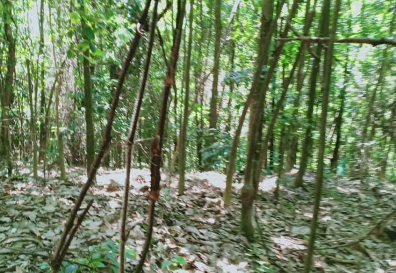 Tanah Zon Perumahan seluas hampir 6 ekar di Sg Merab sebelah Putrajaya. Terletak di tepi jalan dan sesuai untuk projek perumahan dan sebagainya. 