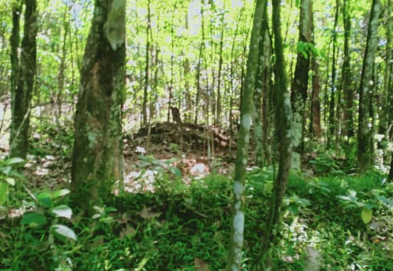 Tanah Zon Perumahan seluas hampir 6 ekar di Sg Merab sebelah Putrajaya. Terletak di tepi jalan dan sesuai untuk projek perumahan dan sebagainya. 