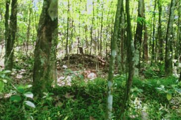 Tanah Zon Perumahan seluas hampir 6 ekar di Sg Merab sebelah Putrajaya. Terletak di tepi jalan dan sesuai untuk projek perumahan dan sebagainya. 