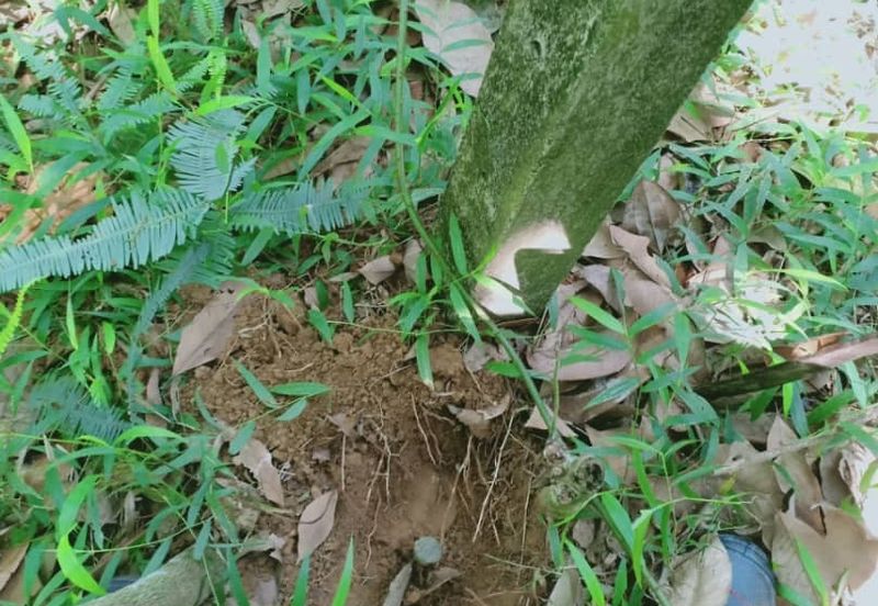 Tanah Zon Perumahan seluas hampir 6 ekar di Sg Merab sebelah Putrajaya. Terletak di tepi jalan dan sesuai untuk projek perumahan dan sebagainya. 