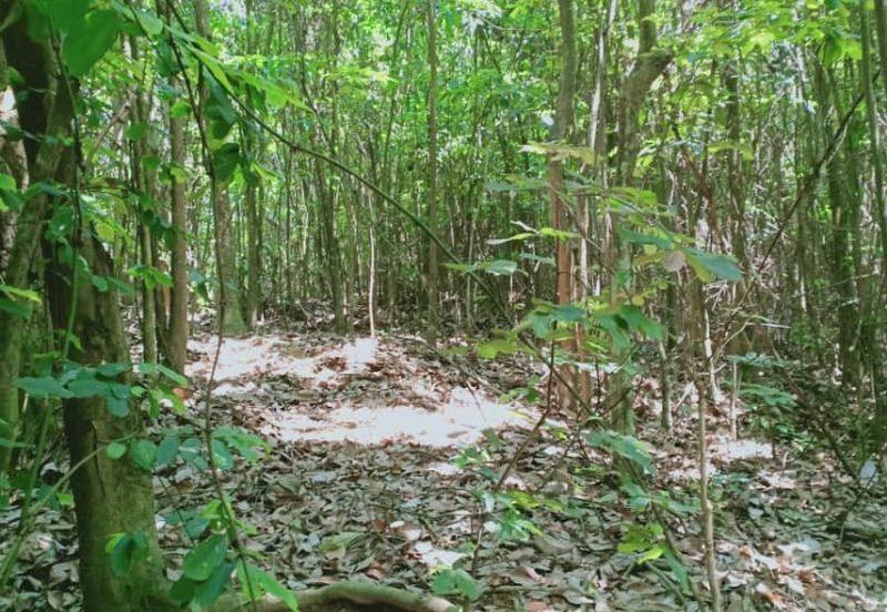 Tanah Zon Perumahan seluas hampir 6 ekar di Sg Merab sebelah Putrajaya. Terletak di tepi jalan dan sesuai untuk projek perumahan dan sebagainya. 