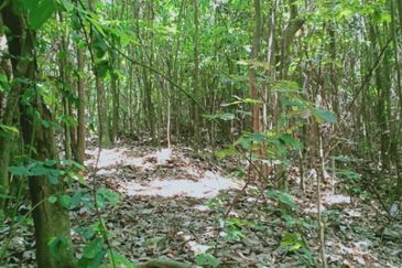 Tanah Zon Perumahan seluas hampir 6 ekar di Sg Merab sebelah Putrajaya. Terletak di tepi jalan dan sesuai untuk projek perumahan dan sebagainya. 