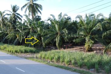 Tanah NON BUMI luas 1.38 ekar di Assam Jawa, Mukim Api-Api, Kuala Selangor 