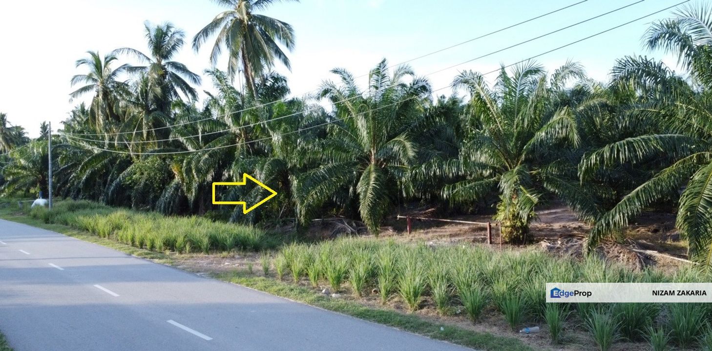 Tanah NON BUMI luas 1.38 ekar di Assam Jawa, Mukim Api-Api, Kuala Selangor , Selangor, Kuala Selangor