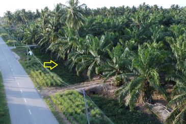 Tanah NON BUMI luas 1.38 ekar di Assam Jawa, Mukim Api-Api, Kuala Selangor 