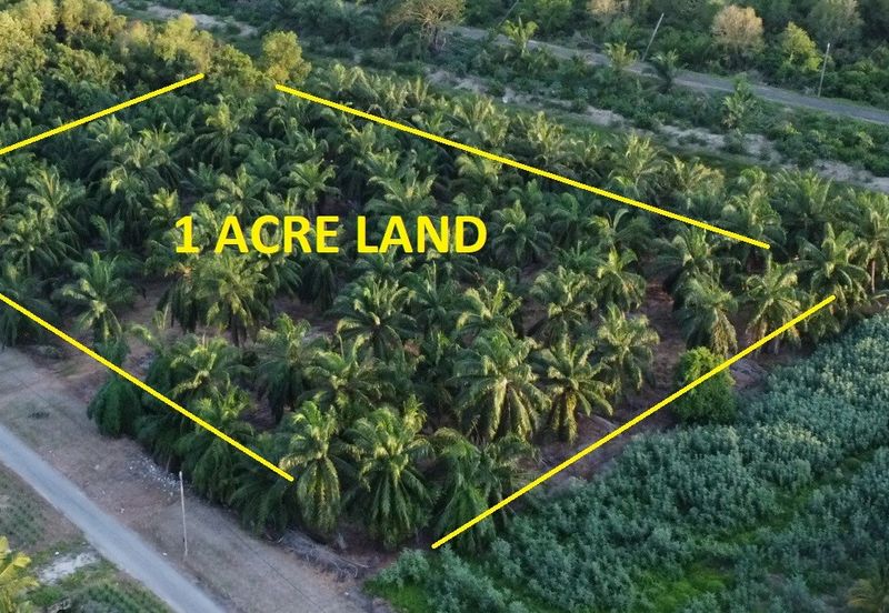 Tanah cantik 1 ekar Non Bumi Bandar Kuala Selangor