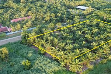 Tanah cantik 1 ekar Non Bumi Bandar Kuala Selangor