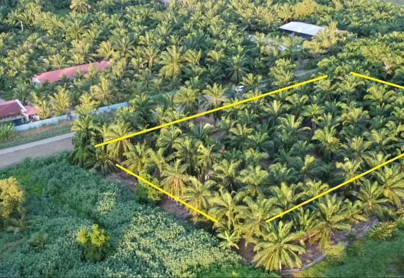 Tanah cantik 1 ekar Non Bumi Bandar Kuala Selangor