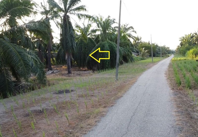 Tanah cantik 1 ekar Non Bumi Bandar Kuala Selangor