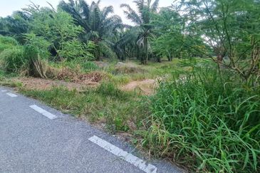 TANJUNG KARANG , KUALA SELANGOR TANAH 5 EKAR FREEHOLD DEKAT HOSPITAL TG KARANG FOR SALE