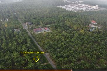 TANJUNG KARANG , KUALA SELANGOR TANAH 5 EKAR FREEHOLD DEKAT HOSPITAL TG KARANG FOR SALE