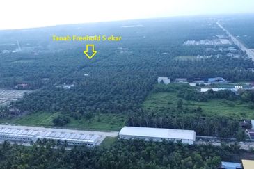 TANJUNG KARANG , KUALA SELANGOR TANAH 5 EKAR FREEHOLD DEKAT HOSPITAL TG KARANG FOR SALE