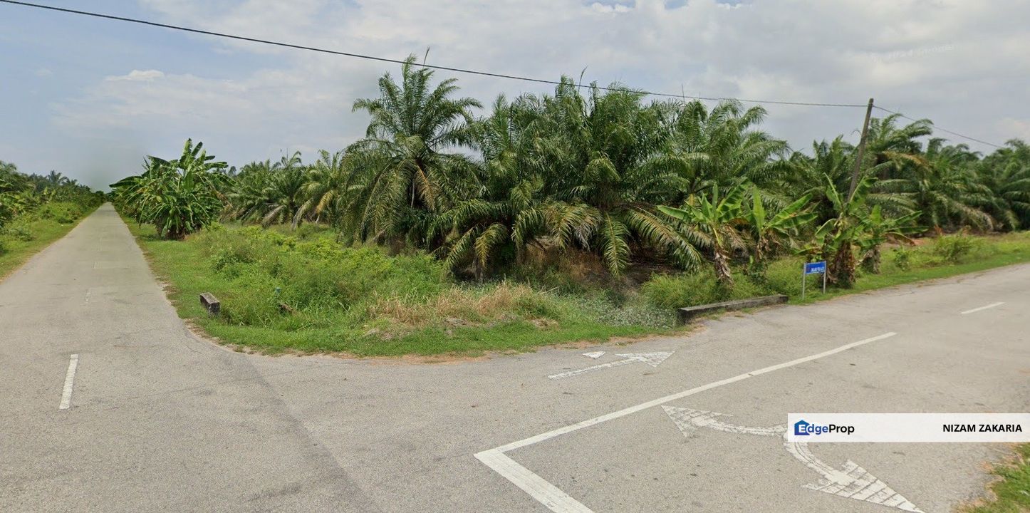 Tanah sawit seluas 4 ekar di Sg Yu , Hujung Permatang, Kuala Selangor, Selangor, Tanjong Karang 