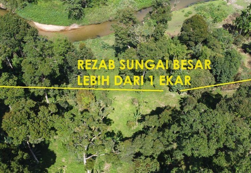 Dusun durian 4.1ekar plus rezab sungai 1 ekar Sedim , Kulim ,  Kedah