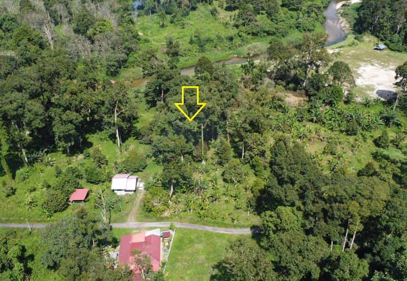 Dusun durian 4.1ekar plus rezab sungai 1 ekar Sedim , Kulim ,  Kedah