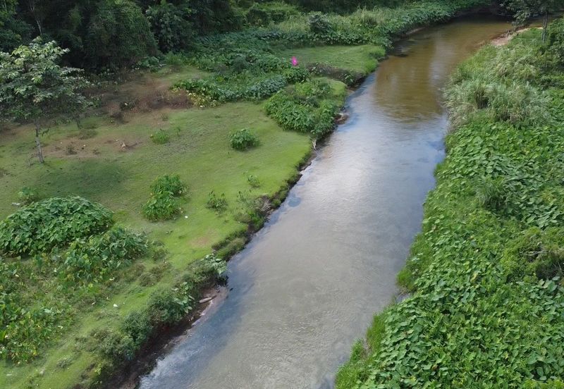 Dusun durian 4.1ekar plus rezab sungai 1 ekar Sedim , Kulim ,  Kedah