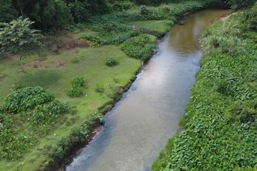 Dusun durian 4.1ekar plus rezab sungai 1 ekar Sedim , Kulim ,  Kedah