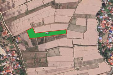 Tanah sawah 3.2ekar First Grade Freehold Permatang Rambai , Penaga , Seberang Perai Utara , Penang