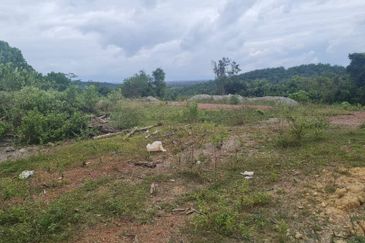 PINANG TUNGGAL SG PETANI AGRI LAND 16 ACRE FREEHOLD WITH RESIDENTIAL ZONNING